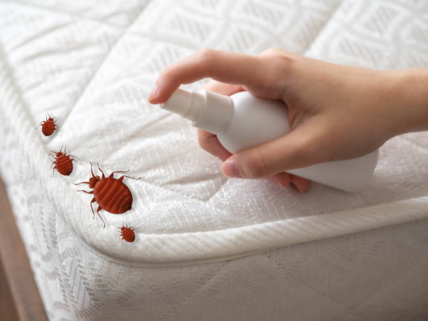 Pest Control Cost in Williamsport, PA